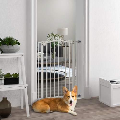 Pressure fit dog - pressure,