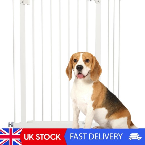 Pressure fit dog - fit, gate