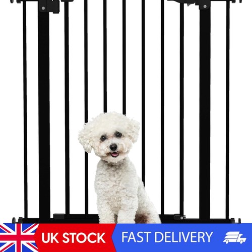 Black pressure fit pet - pet, gate