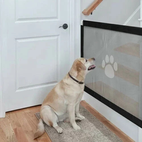 Pet dog gate safety - uk,